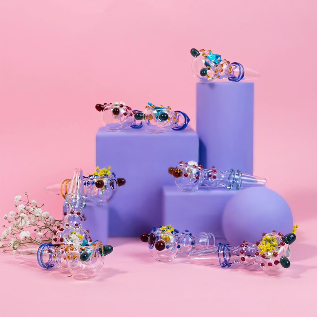 Pipa Marciana - Image 5